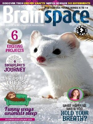 cover image of Brainspace